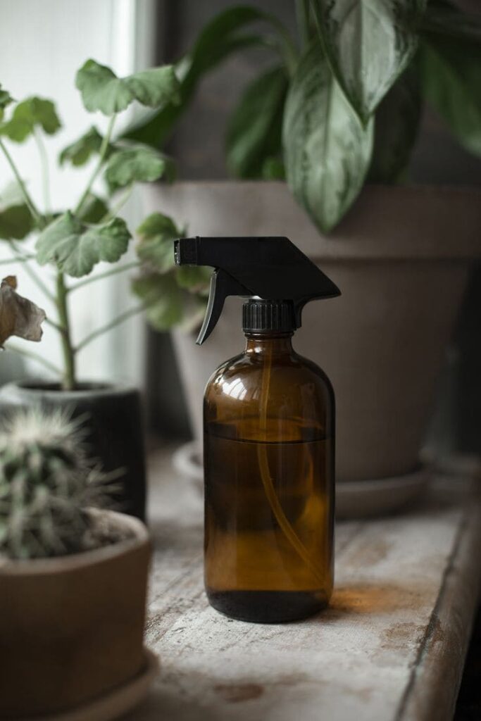 Ev Temizliğinde Aromaterapik Yağlar